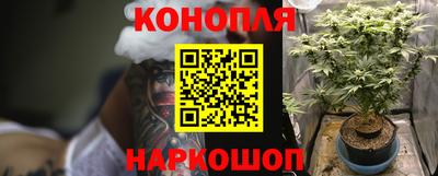 стаф Бузулук