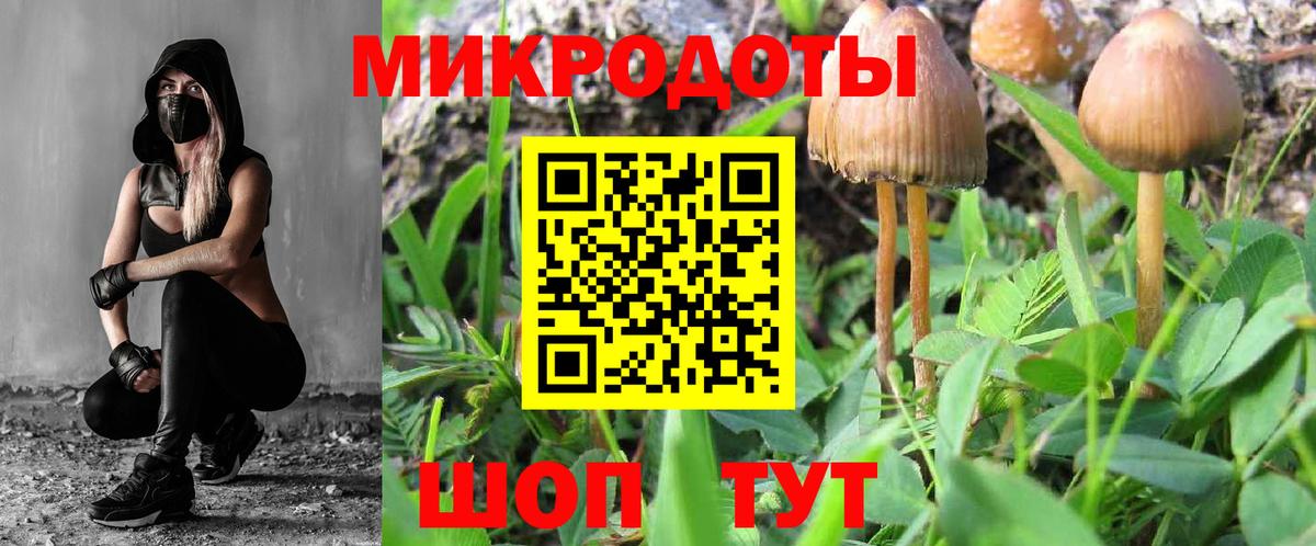 Псилоцибиновые грибы мицелий  Вход с VPN  Ярославль  Псилоцибиновые грибы прущие грибы 
