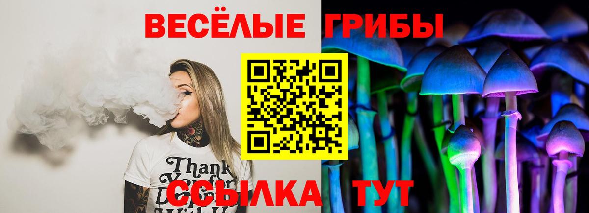 Псилоцибиновые грибы мухоморы Ярославль